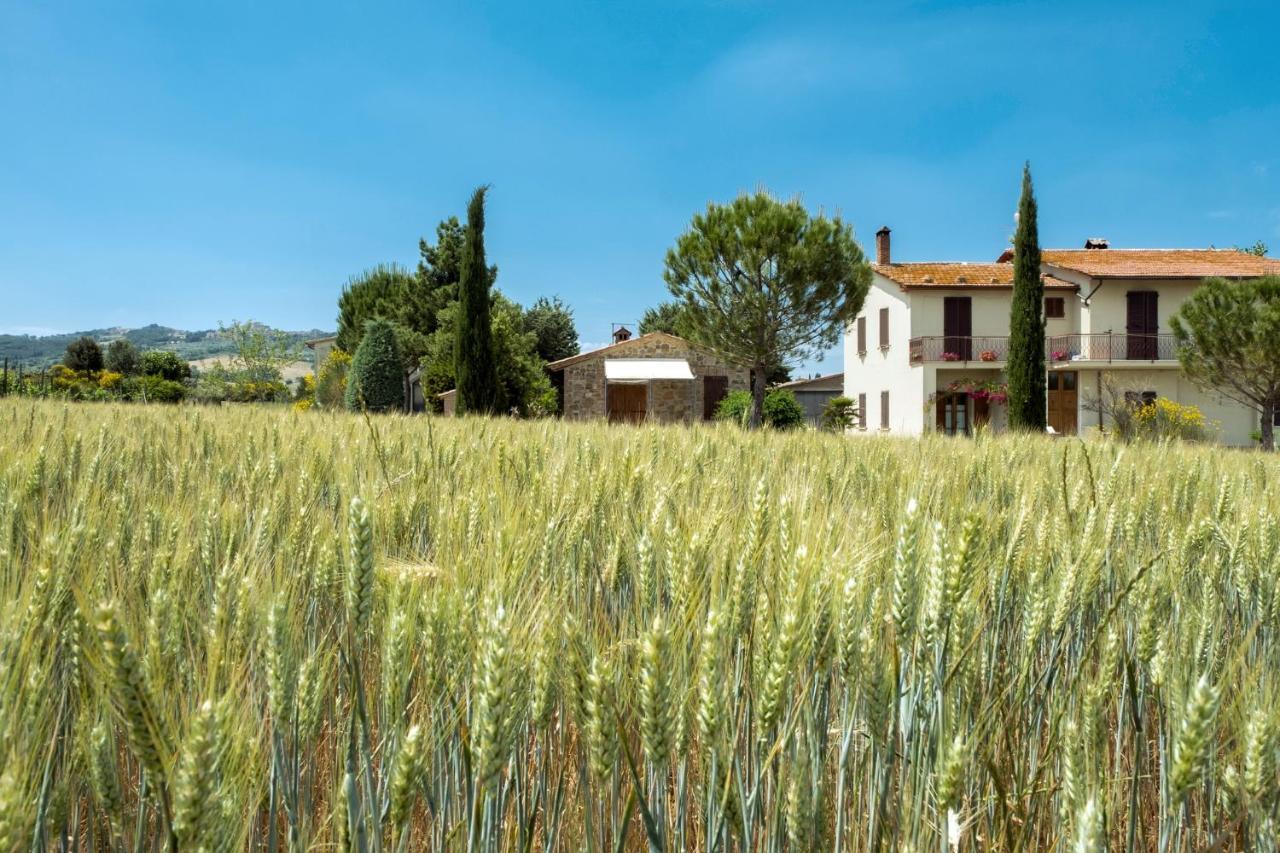 Agriturismo San Marcello Villa Castiglione d'Orcia Exterior photo